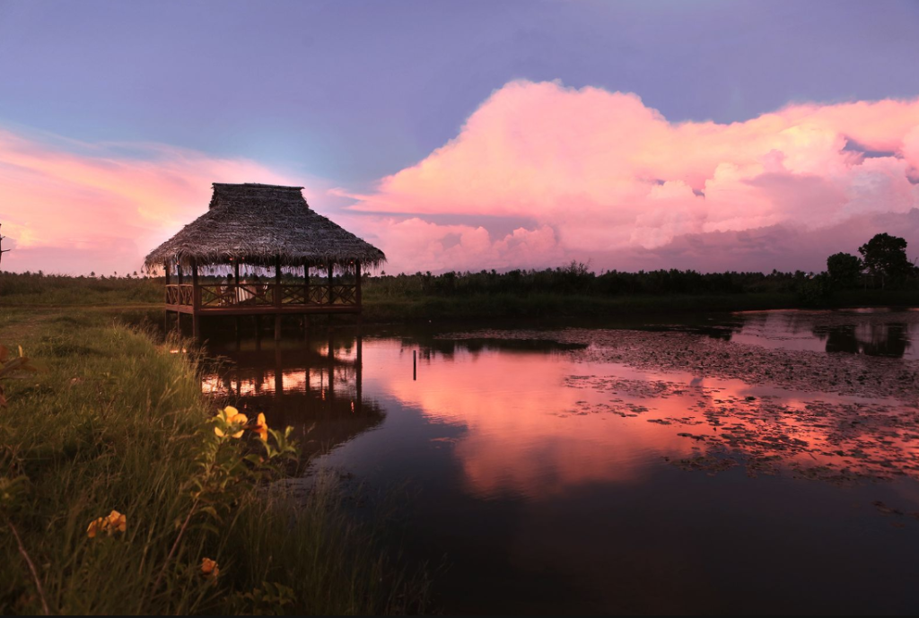 CGH Earth Experience Hotels