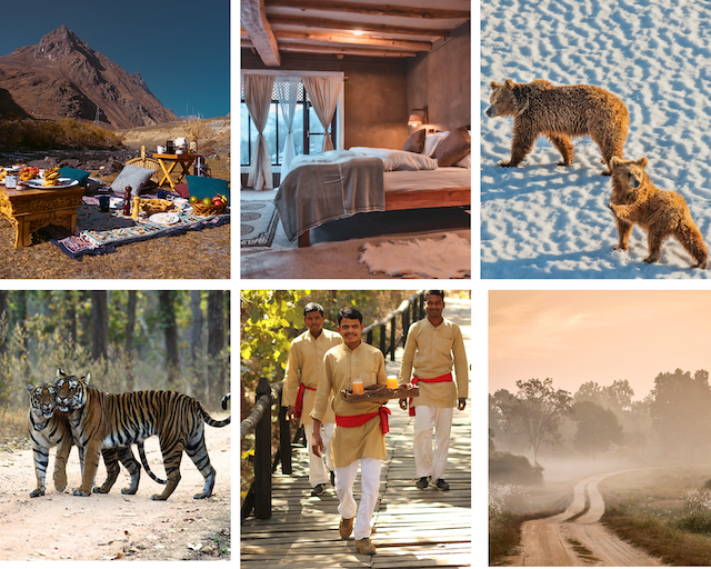 Flame of the Forest Safari Lodge, Kanha & Drenmo Lodge, Ladakh
